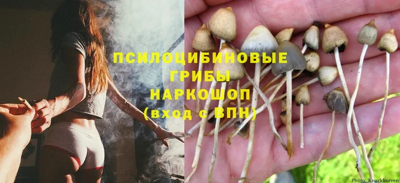 Галлюциногенные грибы Magic Shrooms Островной